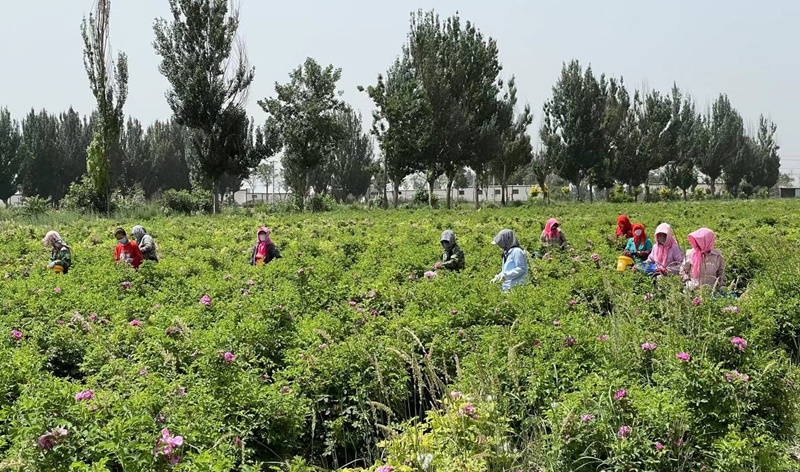 PG���ʹ���