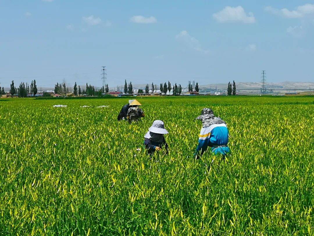 PG���ʹ���