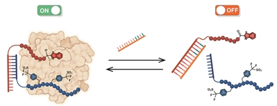 PG���ʹ���